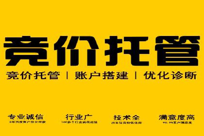 竞价托管策略调整：一则快速提升排名的案例